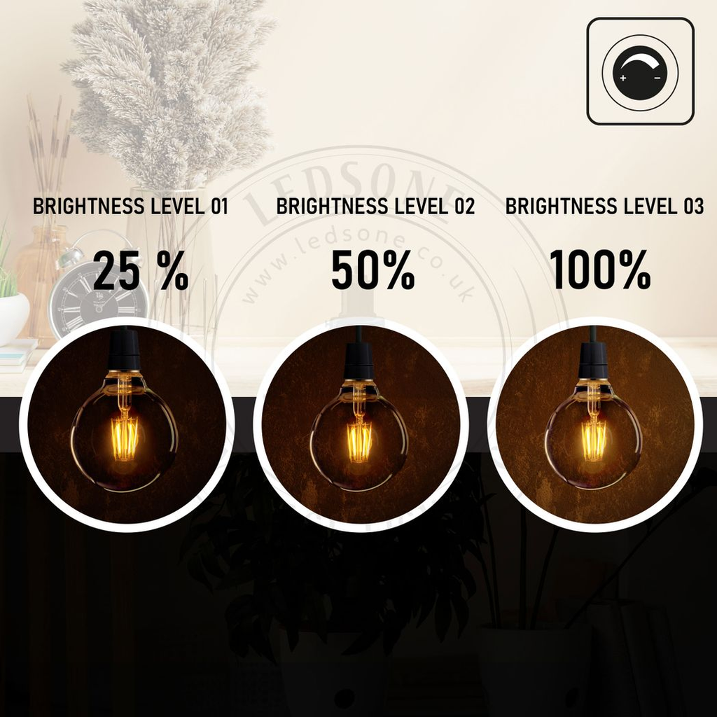 5 Pack Vintage Globe Edison LED Light Bulb G95 8W E27 Screw Bulb | Braxby