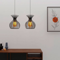 Wire cage lamp shade with Edison bulb