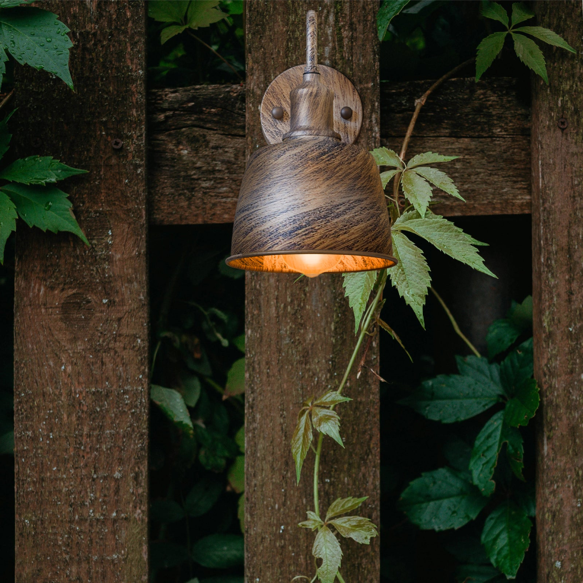 6.png